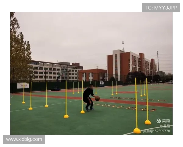 陈伟独家分享篮球心得与技巧提升之道助你成就篮球梦想